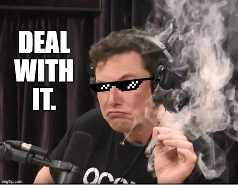 Elon med joint